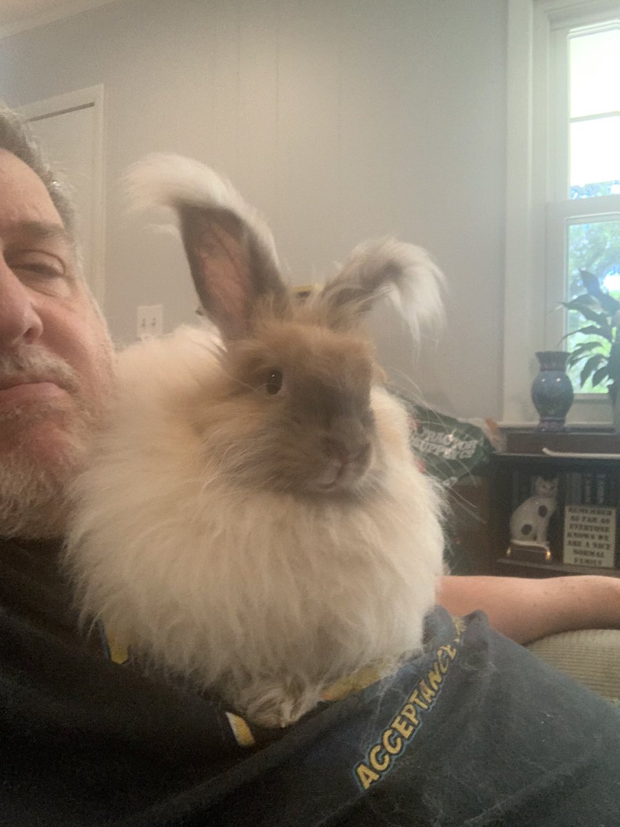 bunsofconyers's tweet image. Sunday is #bunday - Honey Bun