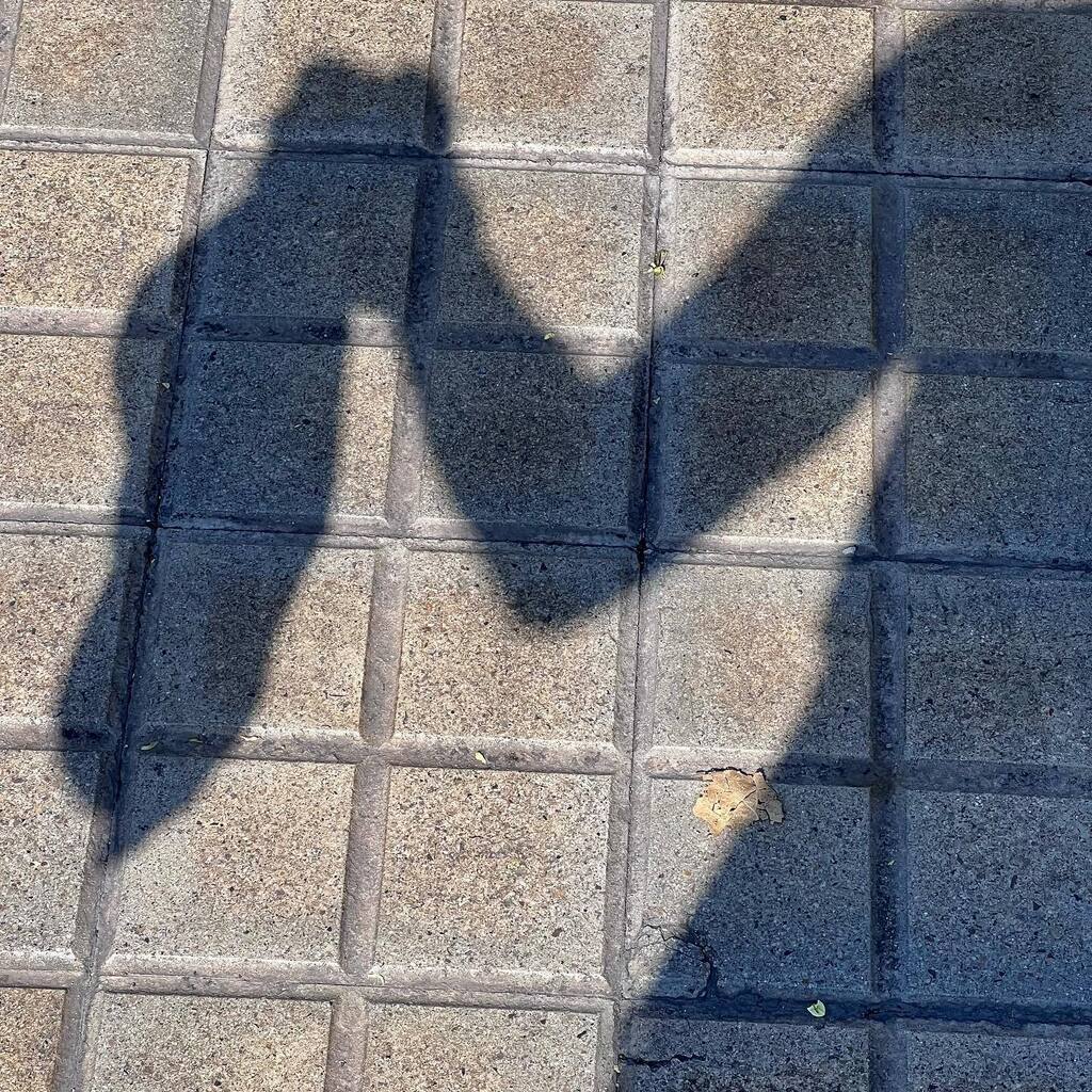Gemma_Moran's tweet photo. #sombra31
Hasta el final! Pensé que no iba a llegar 😂
#creativejuly #creativejuly2022 #31sombrasdegemma 
@super_imma @ana2013ene @tonyo_vlc @angelilloag @enriquejorreto 

Chuli! Hasta el año que viene! https://t.co/HDJEdd9fbV https://t.co/qCftRBccRn