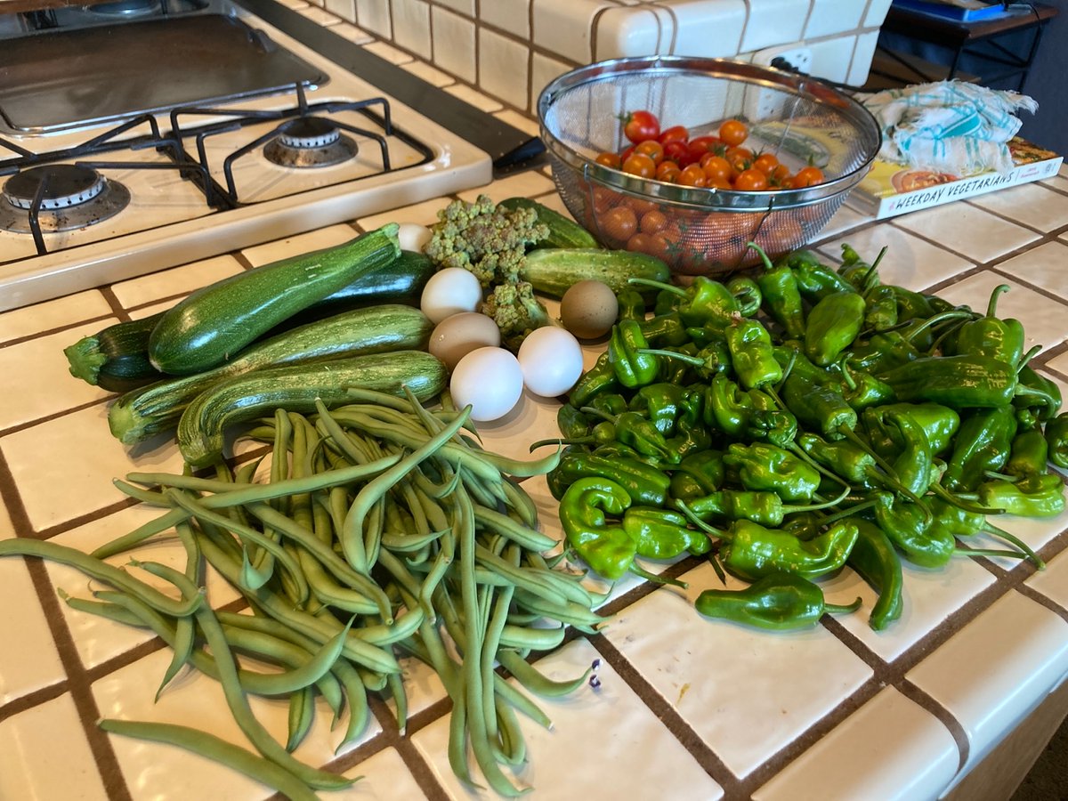 laura lemay tweet media