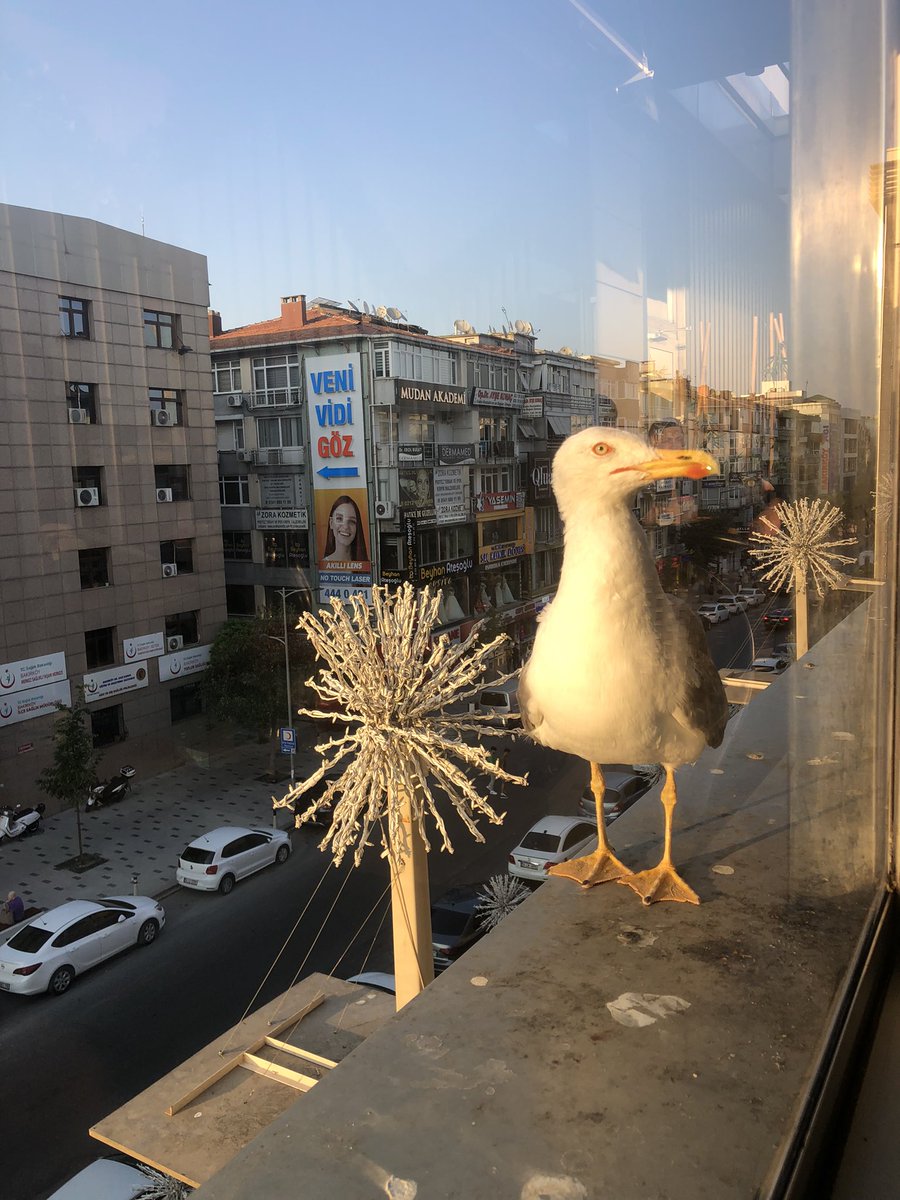 Yemekte misafir var, kaynanası seviyor 😋😅