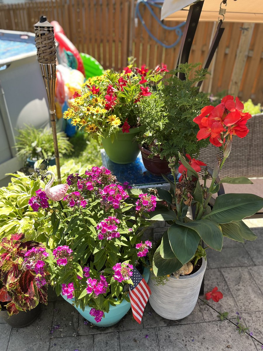 AnjieCaff50's tweet photo. #backyardsanctuary https://t.co/tQpZPT2Alb