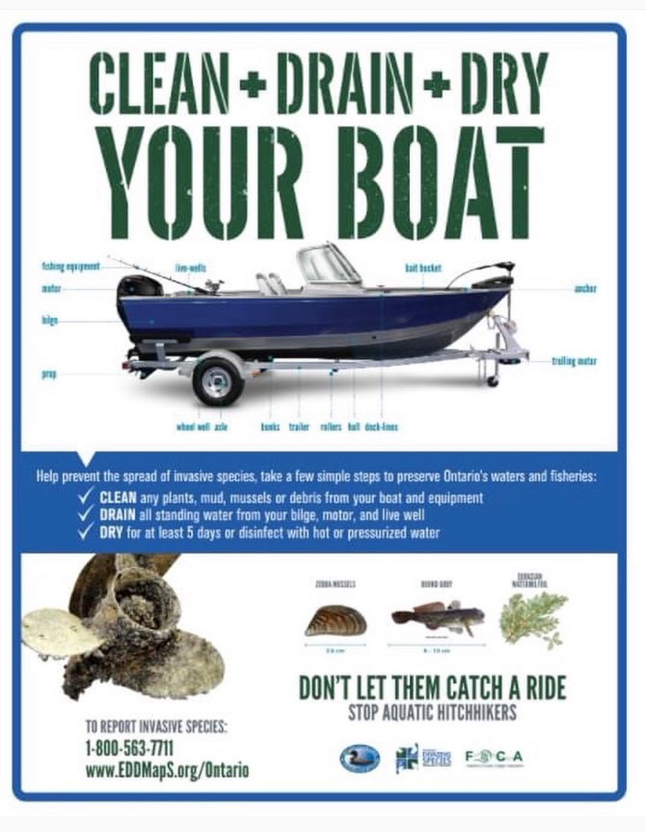 Lake_Simcoe's tweet image. Clean, Drain, Dry. These 3 simple steps are the key to preventing the spread of invasive species through the boater pathway. Before transporting a watercraft or watercraft equipment overland, before reaching a boat launch, and before launching into any Ontario waterbody.
