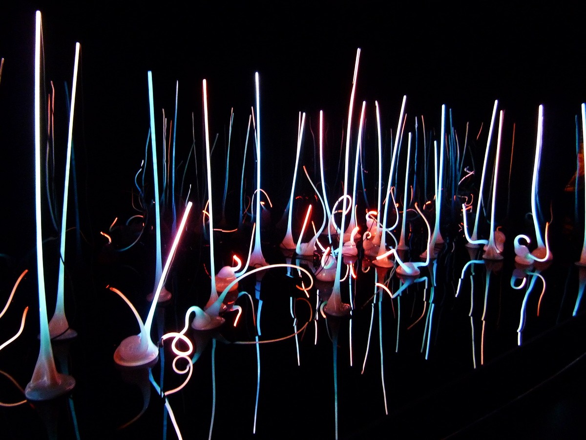 Serial Pix tweet media