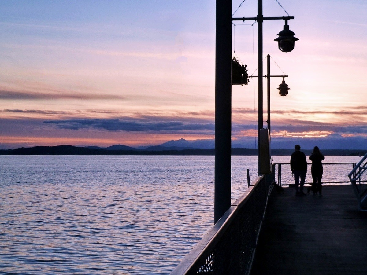 Serial Pix tweet media