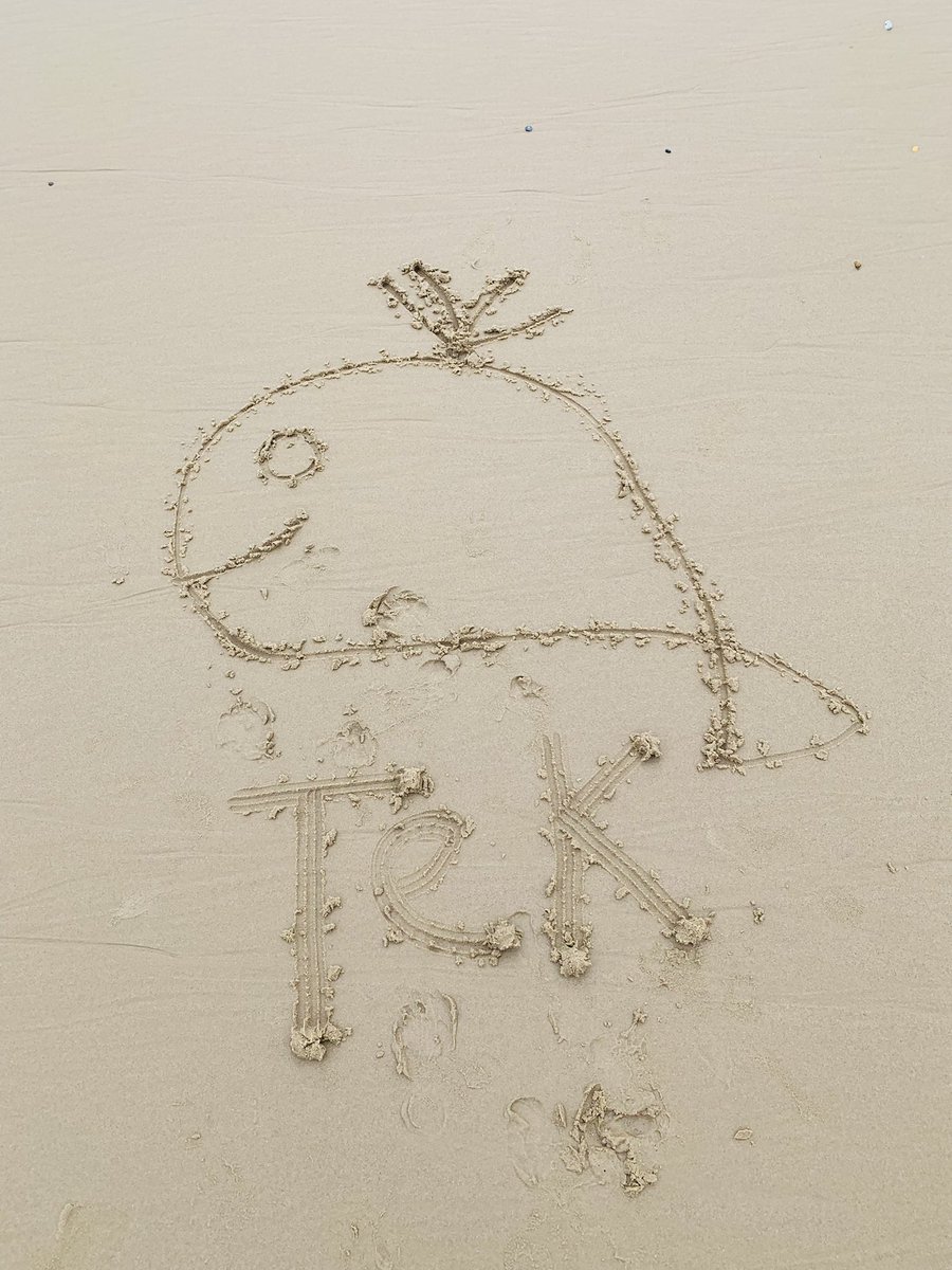 TheBalatroonian's tweet image. She’s back on the beach @PlatoNFT 🏝 But this time, it’s the turn of Tek! @tekmeneth 🐳 @GoonsNft #GoonSquad #NFTCommunity #NFTs