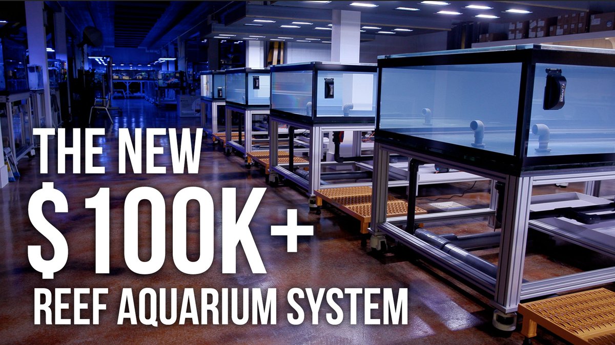 tidalgardens's tweet photo. The biggest and most ambitious reef aquarium system here at Tidal Gardens is finally online.  This build has been a work in progress for months but it finally has saltwater circulating in it and I can't wait to get it cycled.   https://t.co/aaMyWaax7W https://t.co/C9r6S4ALV0