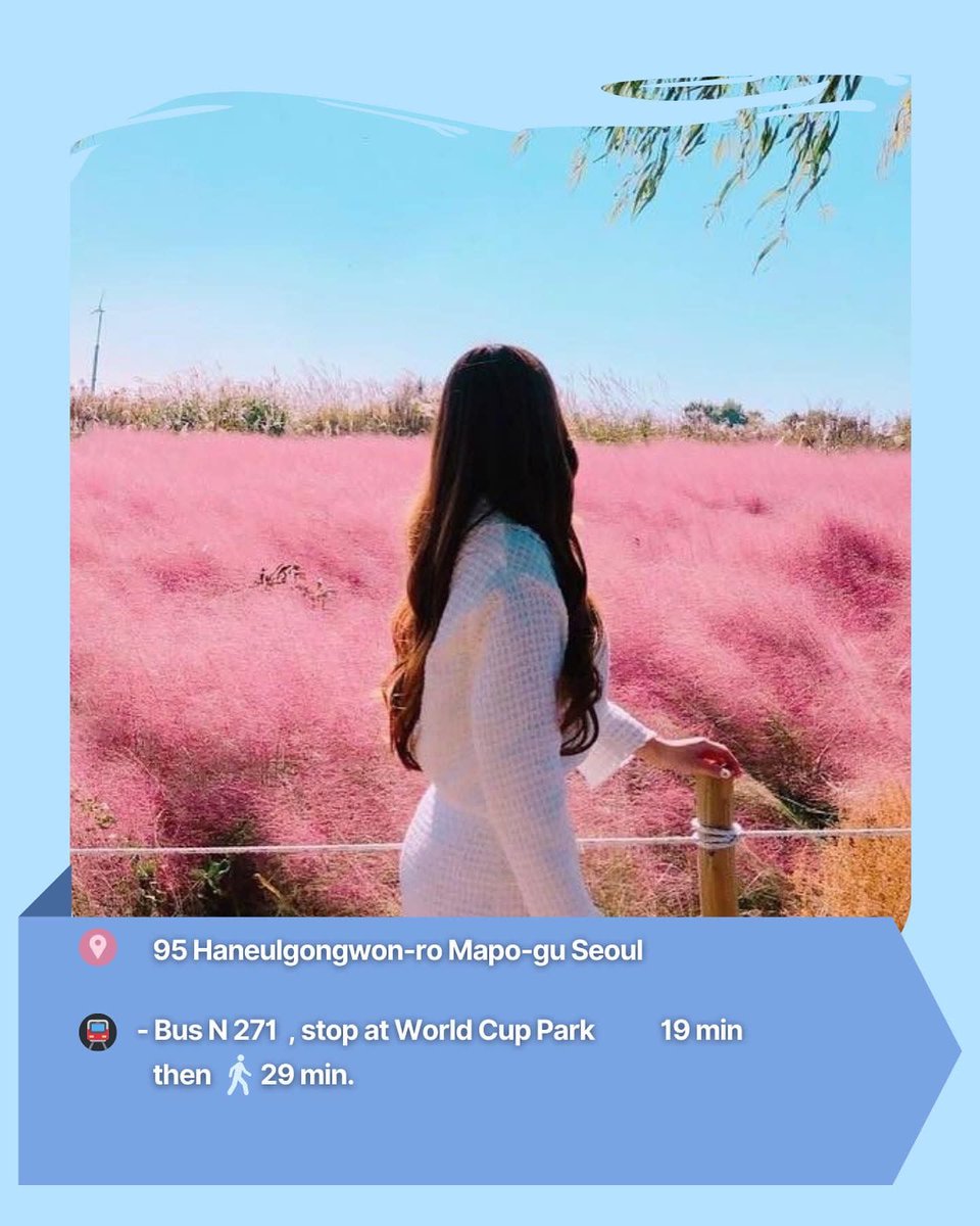zerotokorea's tweet photo. Can't wait for autumn to come, so we can go do one thing Koreans loove to do~ visit Haneul Park!! ๐พ
Click the link below for more trivia about this place ๐
๐:https://t.co/1in4dc8uDU
Which idol would you take on a date here? ๐
#02Kpost https://t.co/pOBAqWWCBw