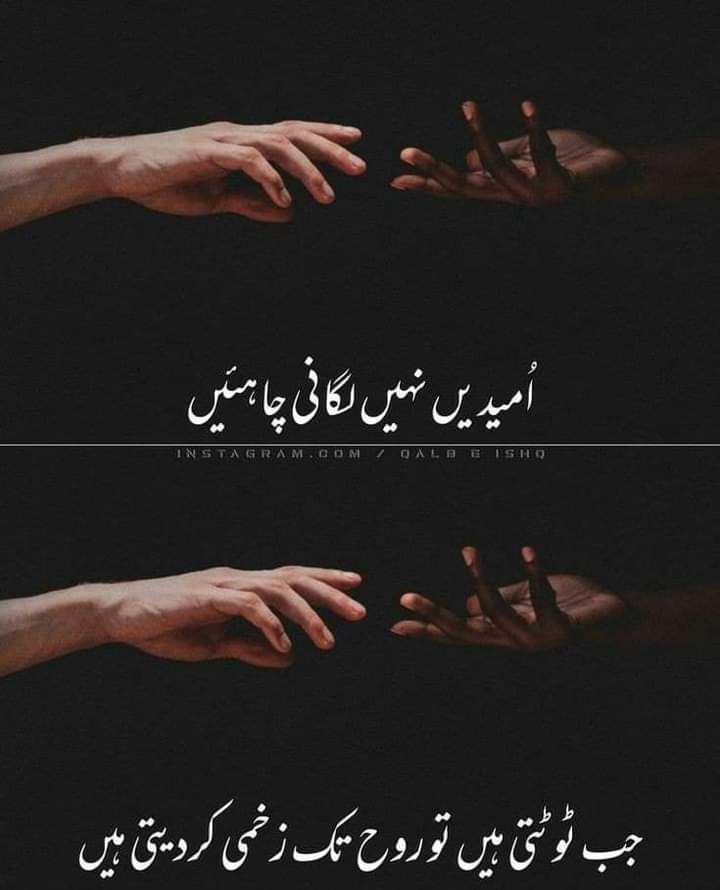 Bint e Hawa🔥🔥 tweet media