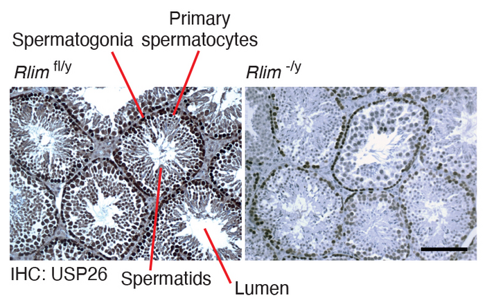 Science Signaling tweet media
