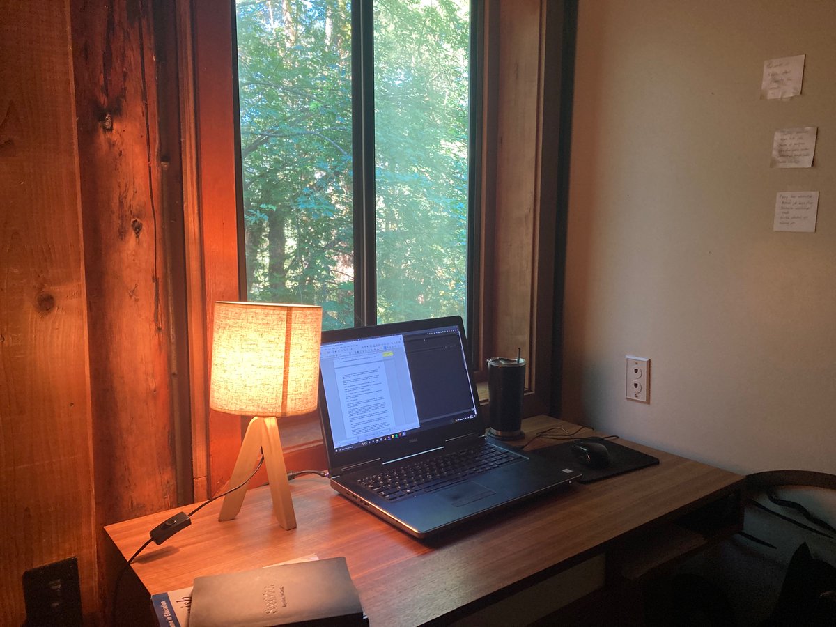 Sunday morning, trying to streamline the second half of my WIP. But it turns out that 12-year-olds and dragons are tricky. #amwriting