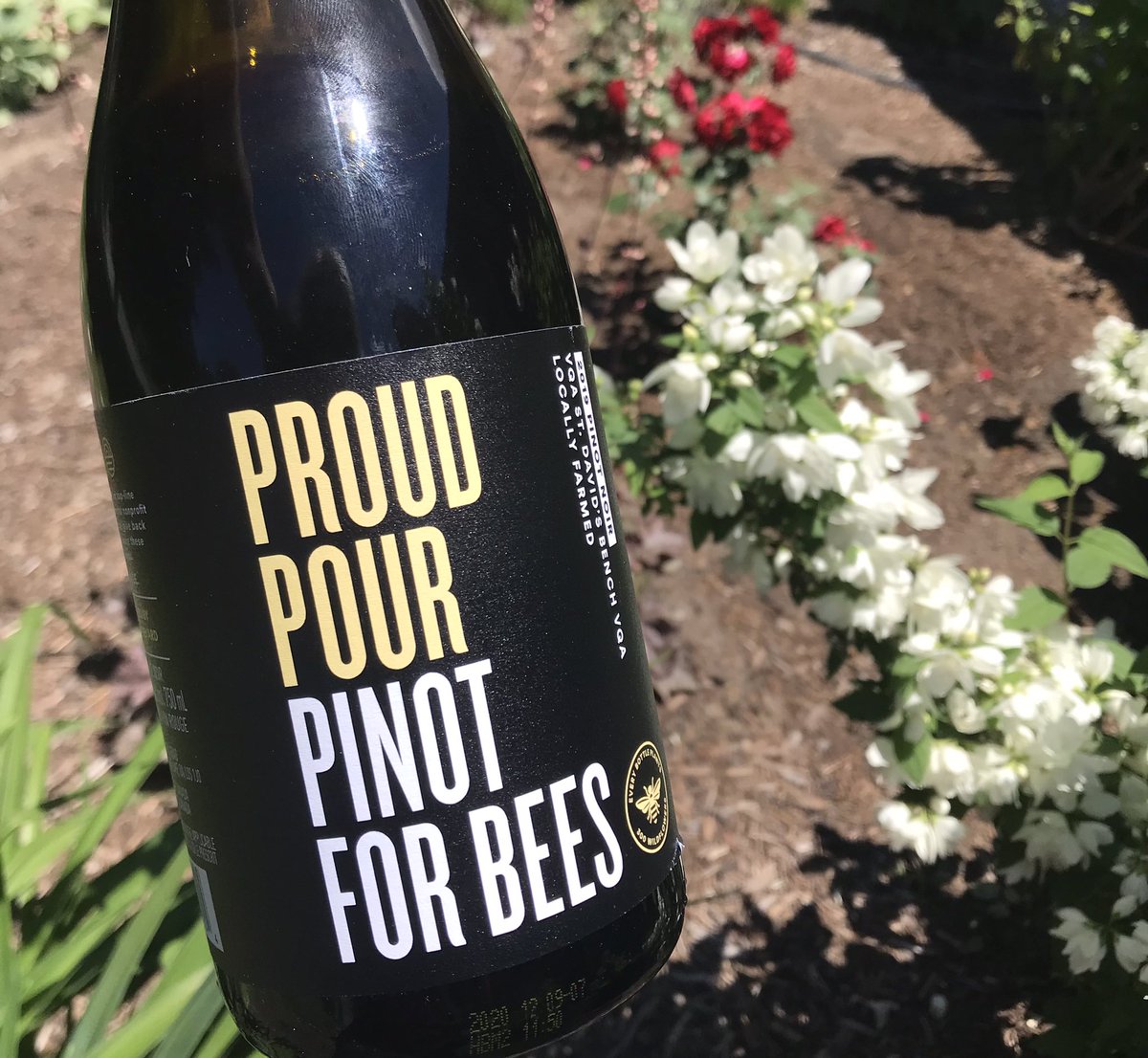 👏🏻 <a href="/QueenstonMile/">Queenston Mile Vineyard</a> for having created this lovely 2019 #ProudPour #PinotNoir &amp; donating funds to help sustain bee habitat 🐝🐝🐝. For me this elegant red is BIG on fresh cherry strawberry notes + nice spice &amp; tomato leaf. Read my 90pt review 👉🏻<a href="/NatalieMacLean/">NatalieMacLean</a> cc <a href="/WineCountryOnt/">Wine Country Ontario</a>
