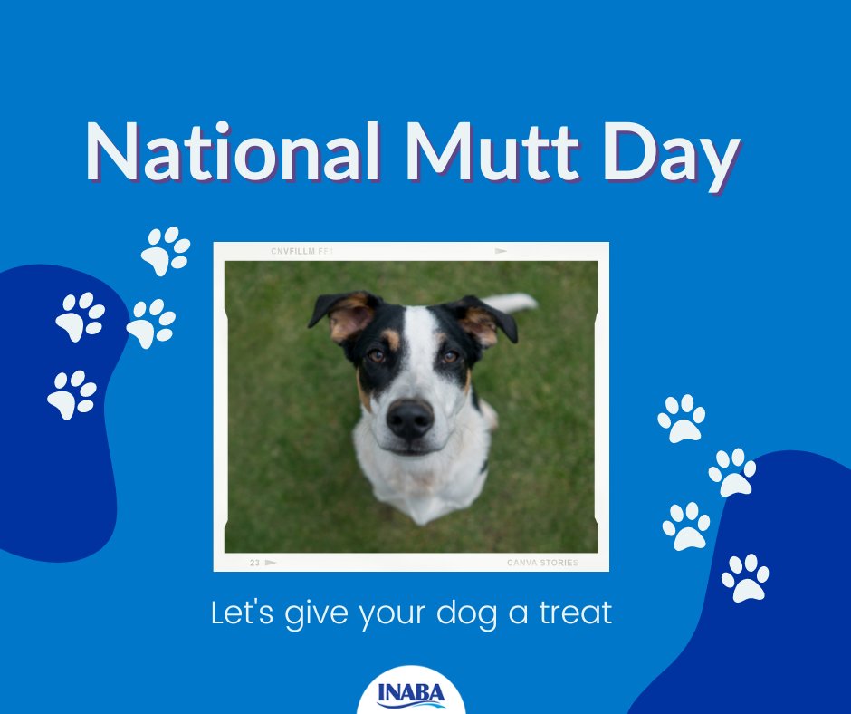 InabaChuru's tweet photo. Shout out to all our doggo furiends today. Stay tuned for an announcement later today that is just for you.💙💙💙
#nationalmuttday #churulover #churufordogs #dogtreats #doggroomer #dogmom #dogsofinstagram #muttsday #muttofig #muttofinstagram https://t.co/7FMp2Jumqp