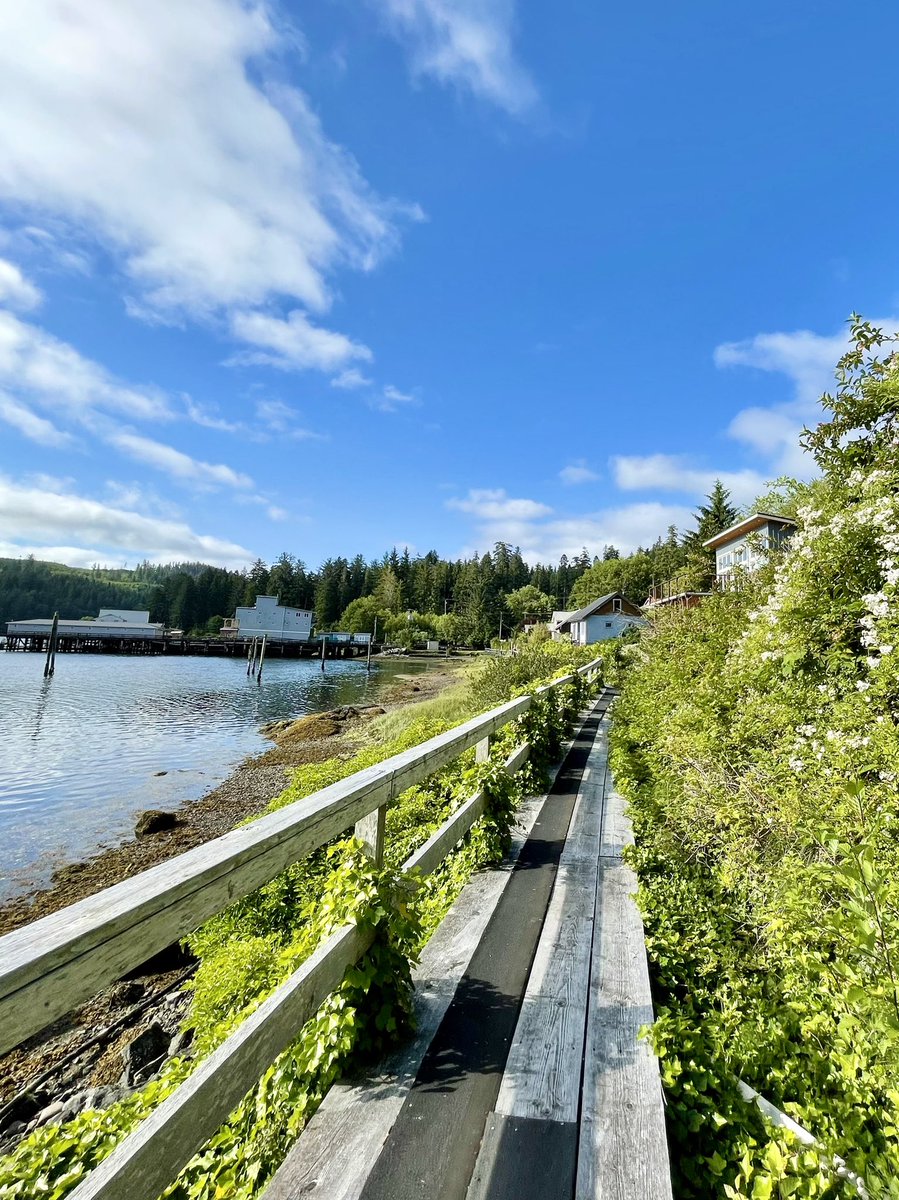 OutpostWH's tweet image. #winterharbour #experiencevancouverisland