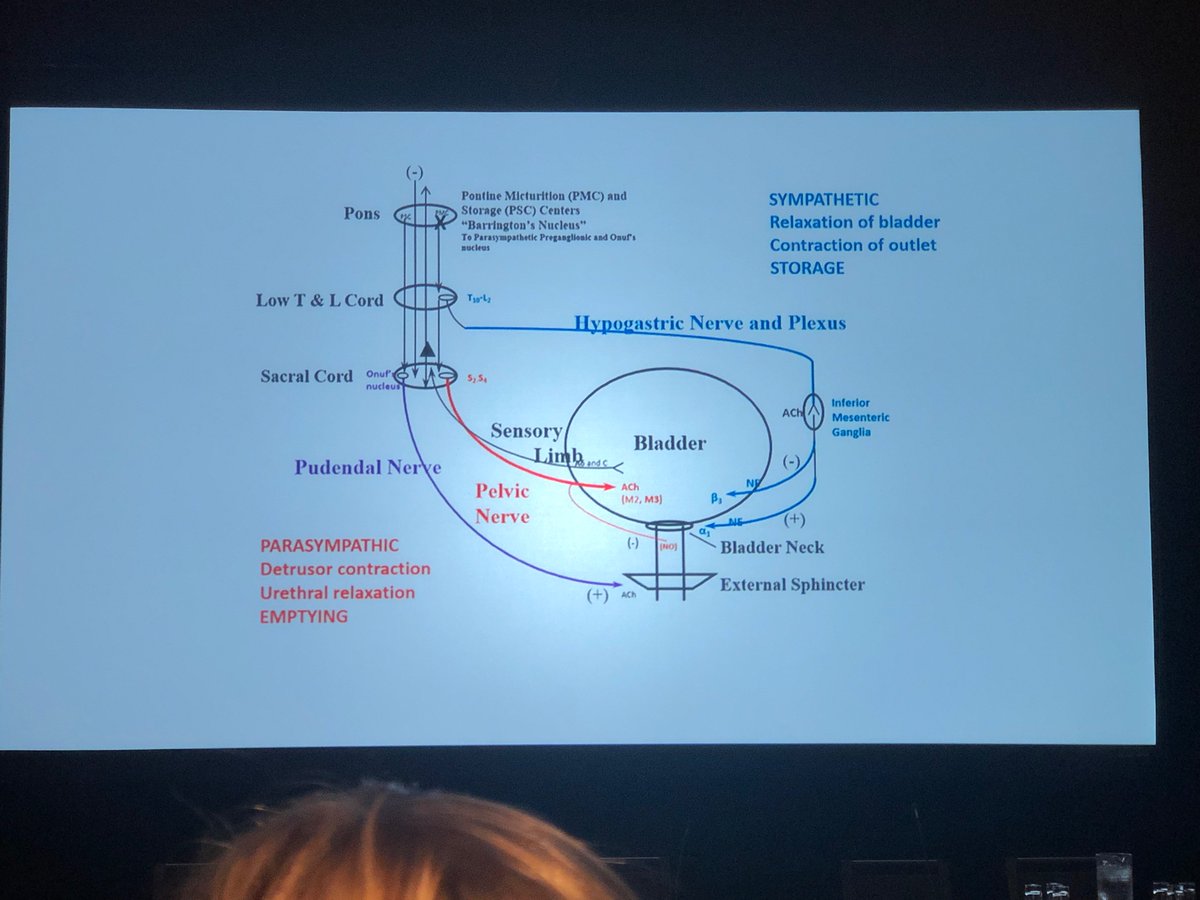 keri_rowley's tweet photo. Had an amazing weekend learning about FPMRS from some of the best! Big thanks to @stephenkraus1 for your encouragement and mentorship! #SUFUres22 https://t.co/ngLKijePD4