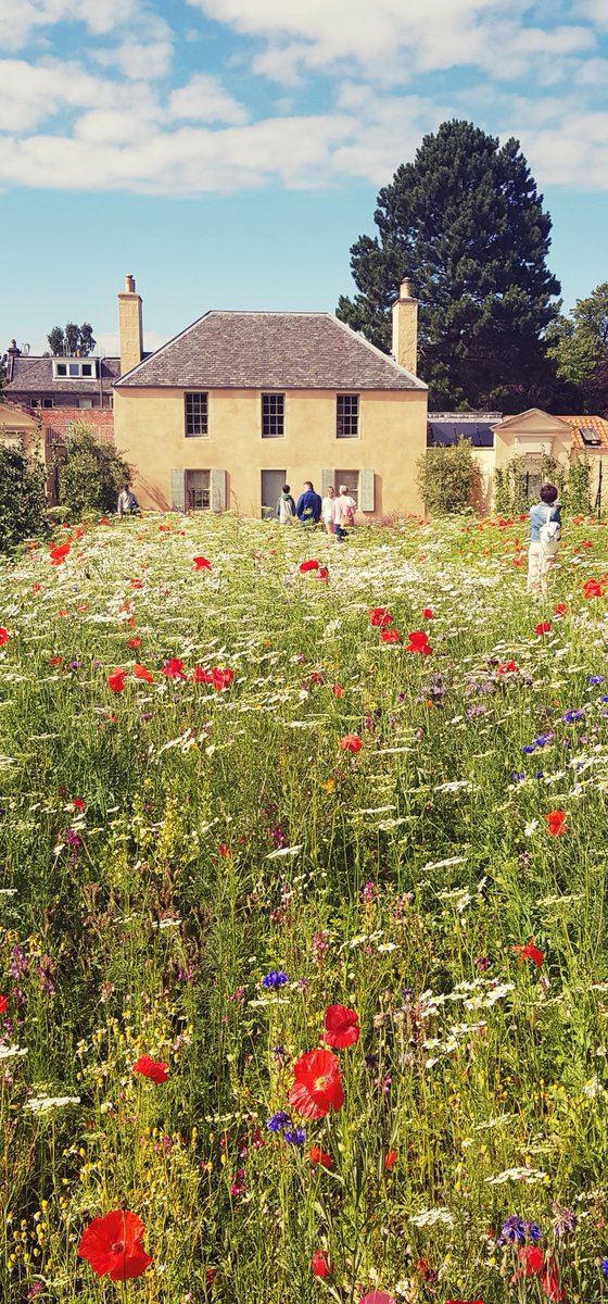 pollydrake75's tweet photo. #EdinburghBotanicGarden 
#PhonePhotography https://t.co/y25KDN6KyR