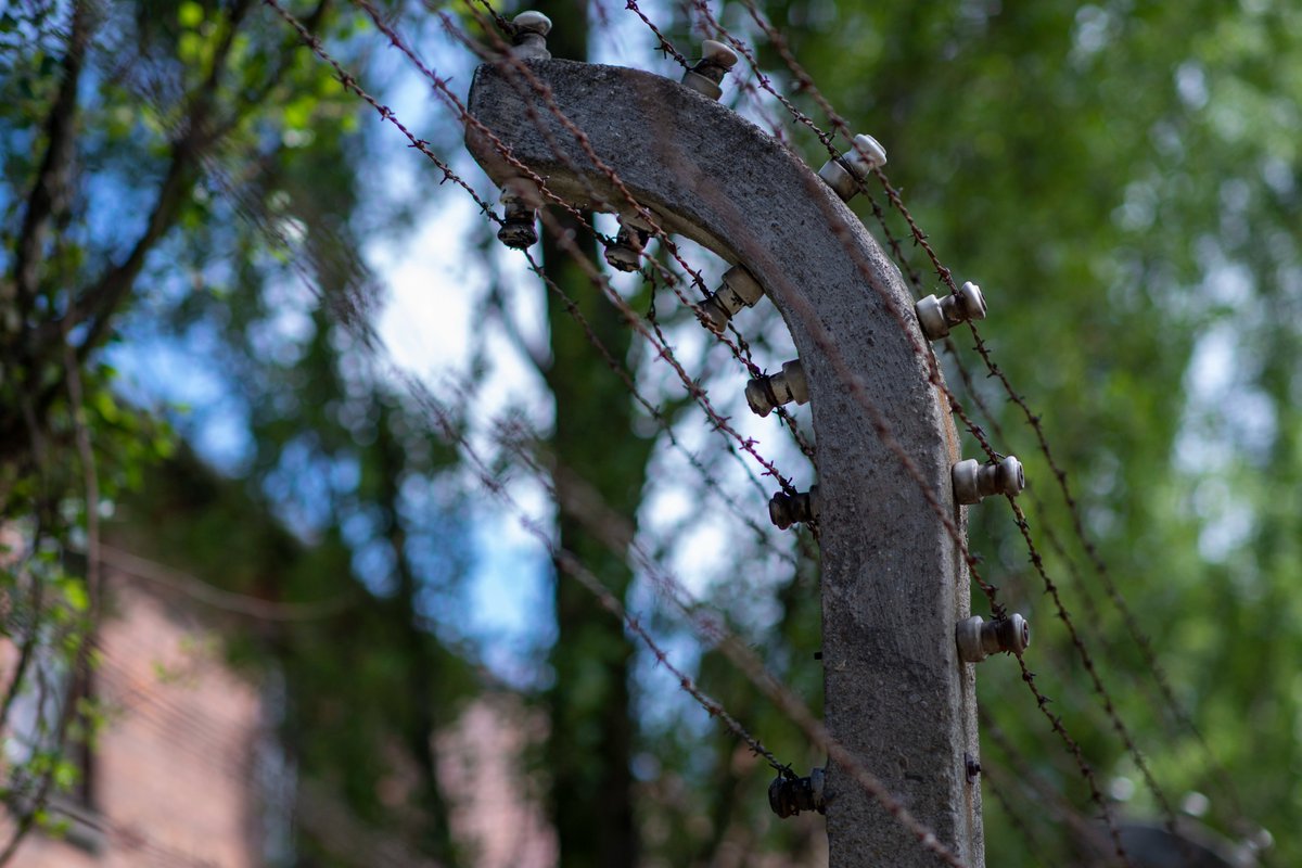 DavidDermerPix tweet media