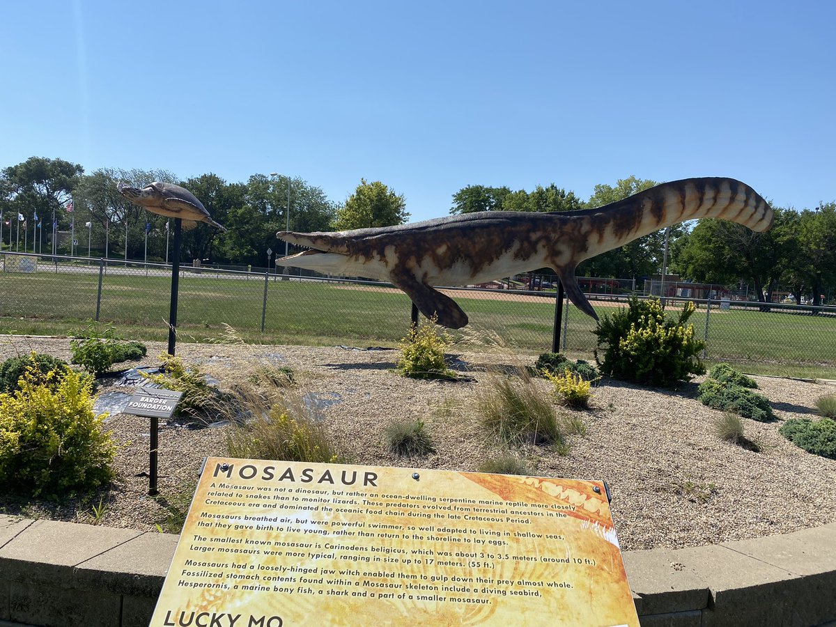 Paleostud's tweet photo. Niche but beloved art genre: super hood extinct local animal sculpture in the middle of a small town. Here’s a super detailed mosasaur in Chamberlain, SD. It’s so good and also just randomly by a church and a baseball field just kinda chilling https://t.co/V77mVj96Ku