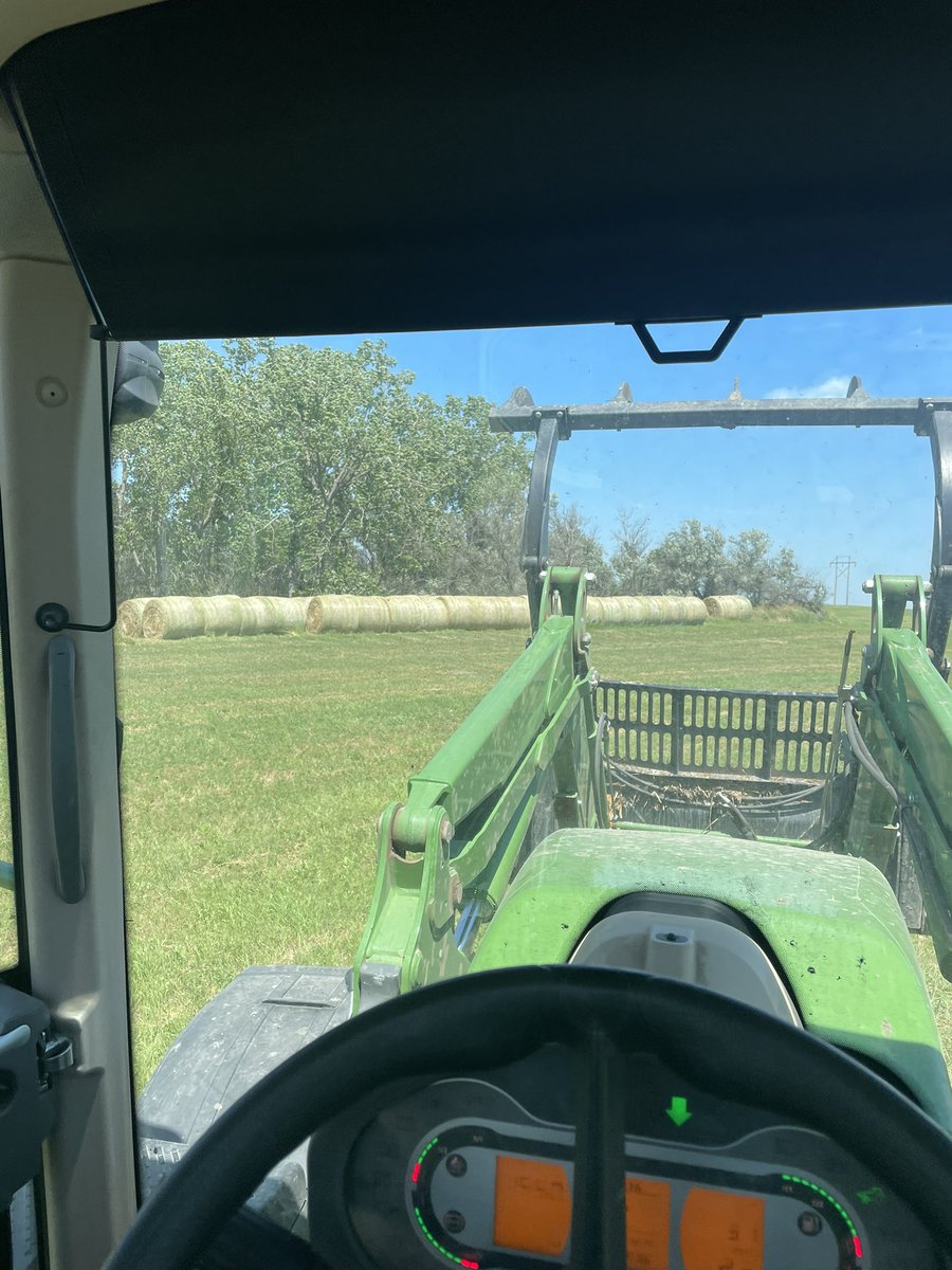 buzzysip's tweet photo. Step 4 

Stack the alfalfa https://t.co/7SWLnpjeM1