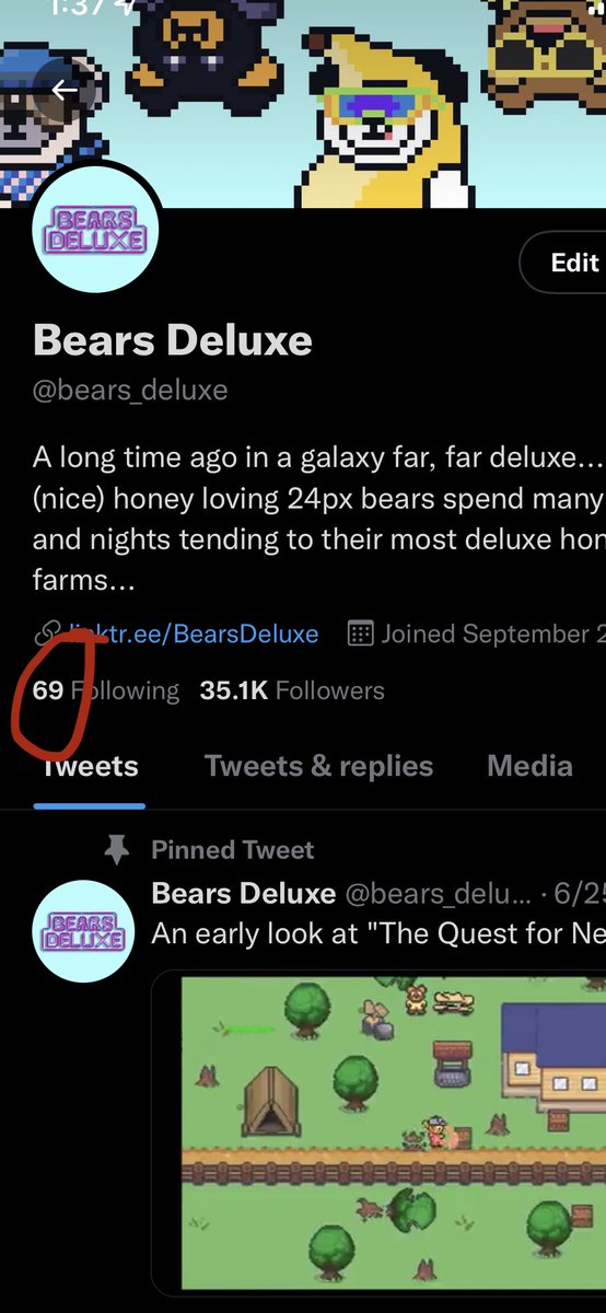 Bears Deluxe tweet media