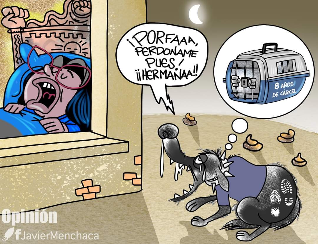 Romy85892717's tweet photo. @g_espinoza La maldición de la #EvaLoca digo @EvaCopa_Bol le llego 😂😂😂😂😂😂😂 https://t.co/GtpgEExXHy
