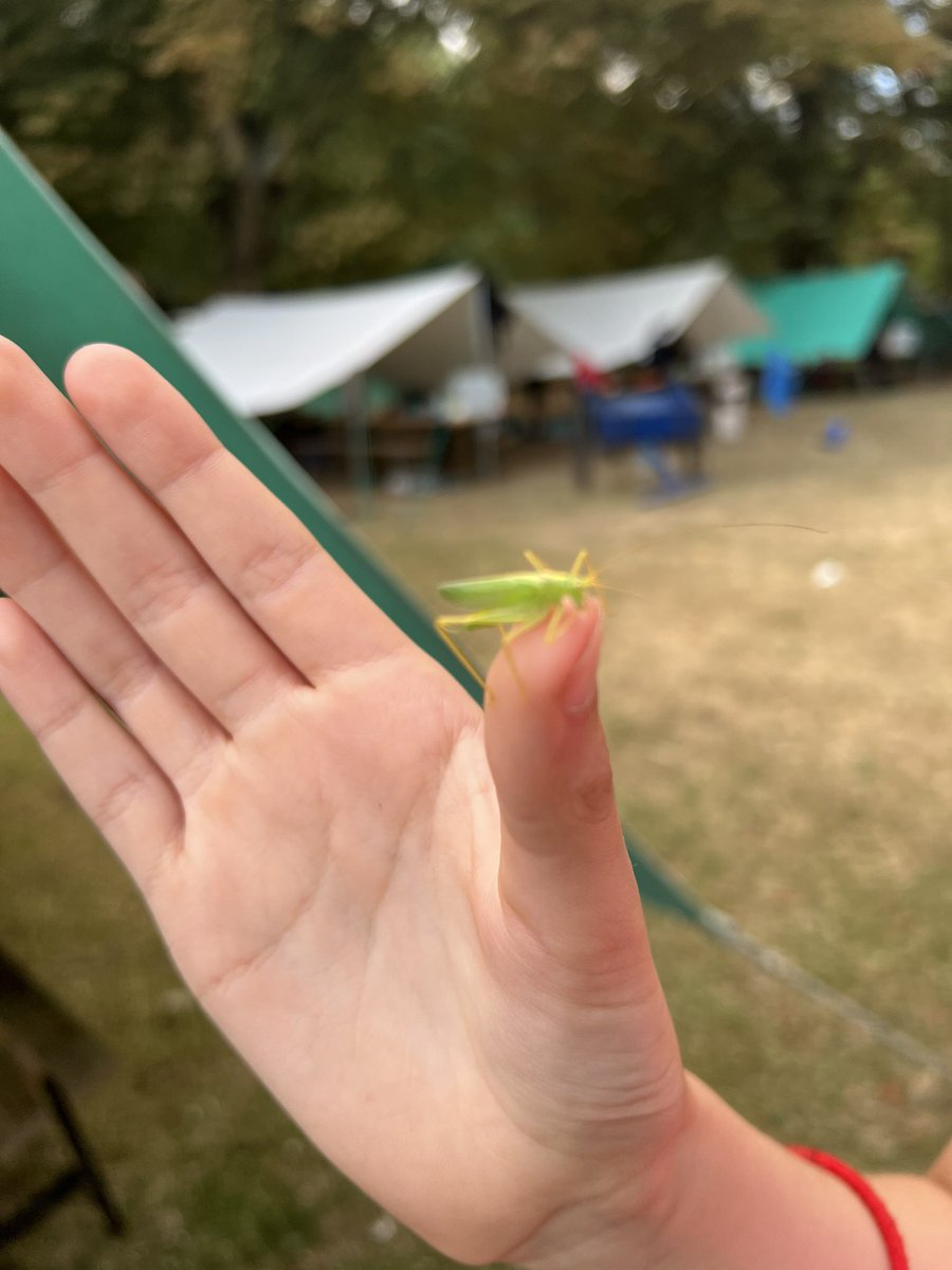 8th Worthing Sea Scouts tweet media