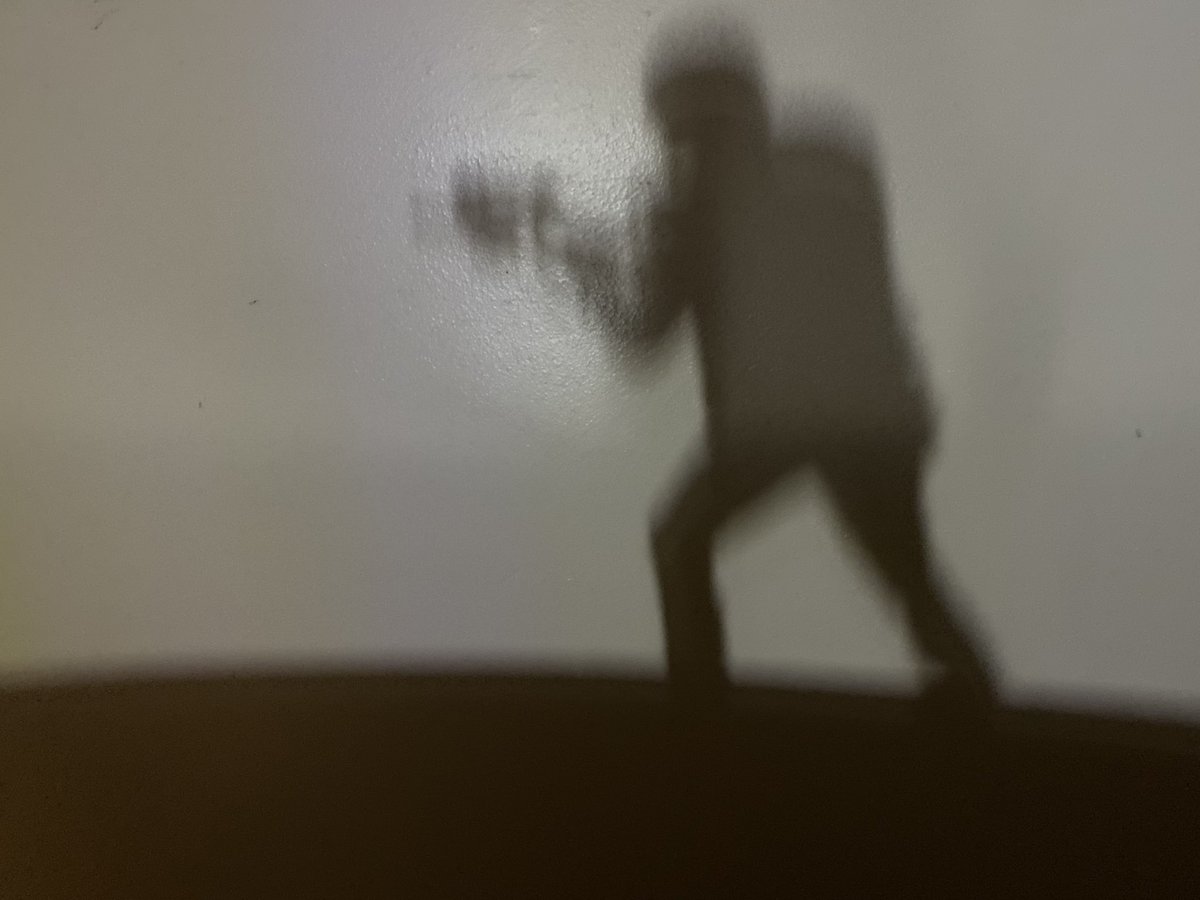 ang_rog's tweet photo. Gish item #144 shadow art. #GISH @wwwbigbaldhead #DarylDixon https://t.co/xnvdJHsqe8