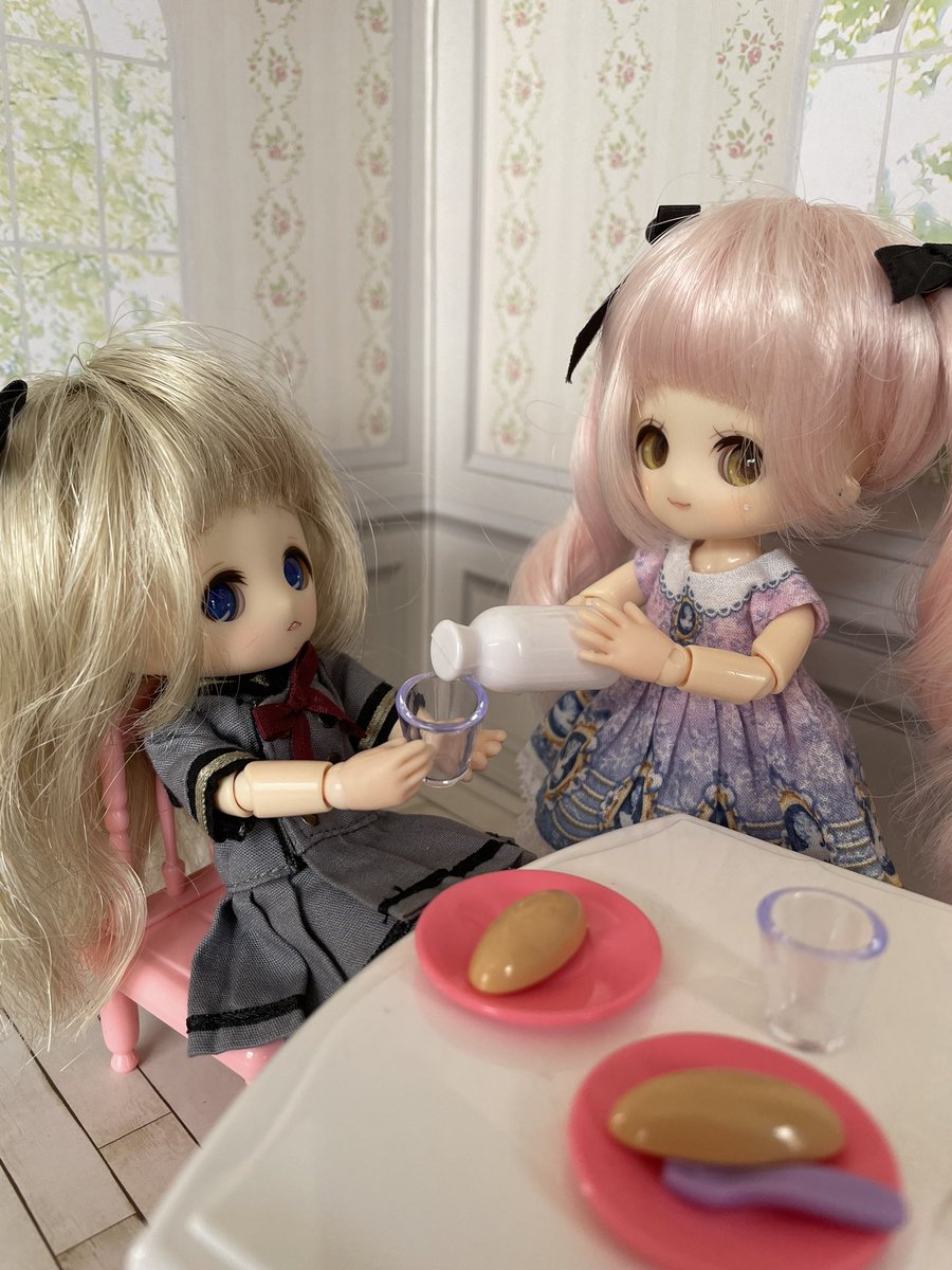cacarotedoll カカロットドール 韓国ドール ベガ emma | www.mekimi.co.il