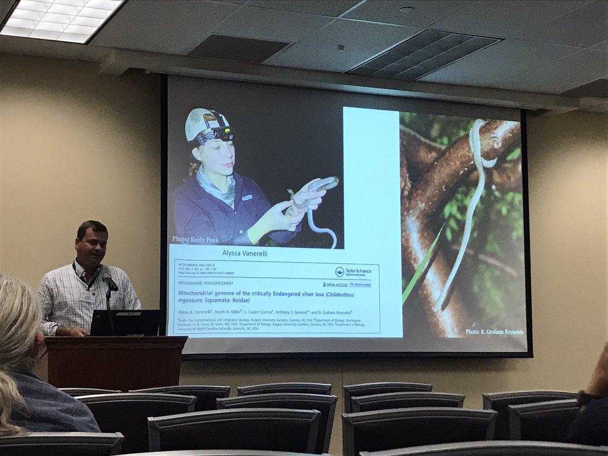 Randy Klabacka (@chico_huico) on Twitter photo Also a reference to a cool study by soon-to-be grad student <a href="/avanerelli/">Alyssa Vanerelli</a>, who also presented at #JMIH2022 on an Anolis grahami genome- all before starting grad school! Also a reference to a cool study by soon-to-be grad student <a href="/avanerelli/">Alyssa Vanerelli</a>, who also presented at #JMIH2022 on an Anolis grahami genome- all before starting grad school!