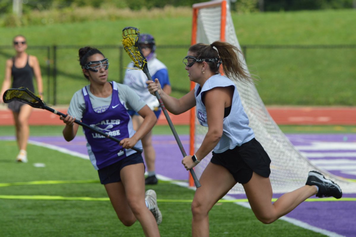 DeSales Girls Lax tweet media