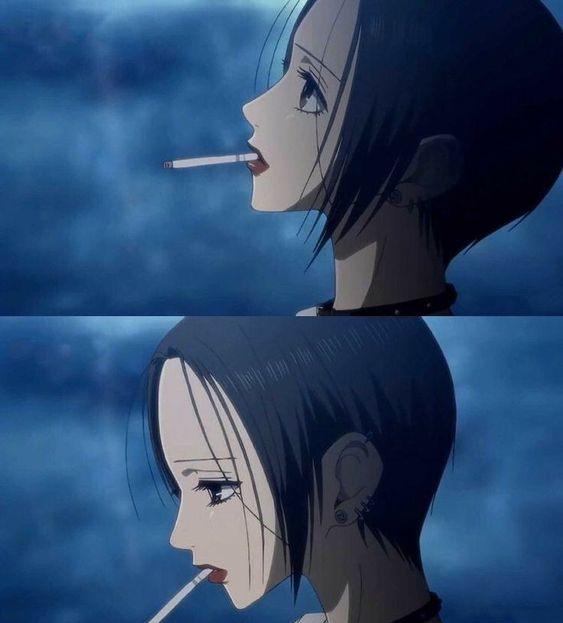 YazawaDisciple tweet picture
