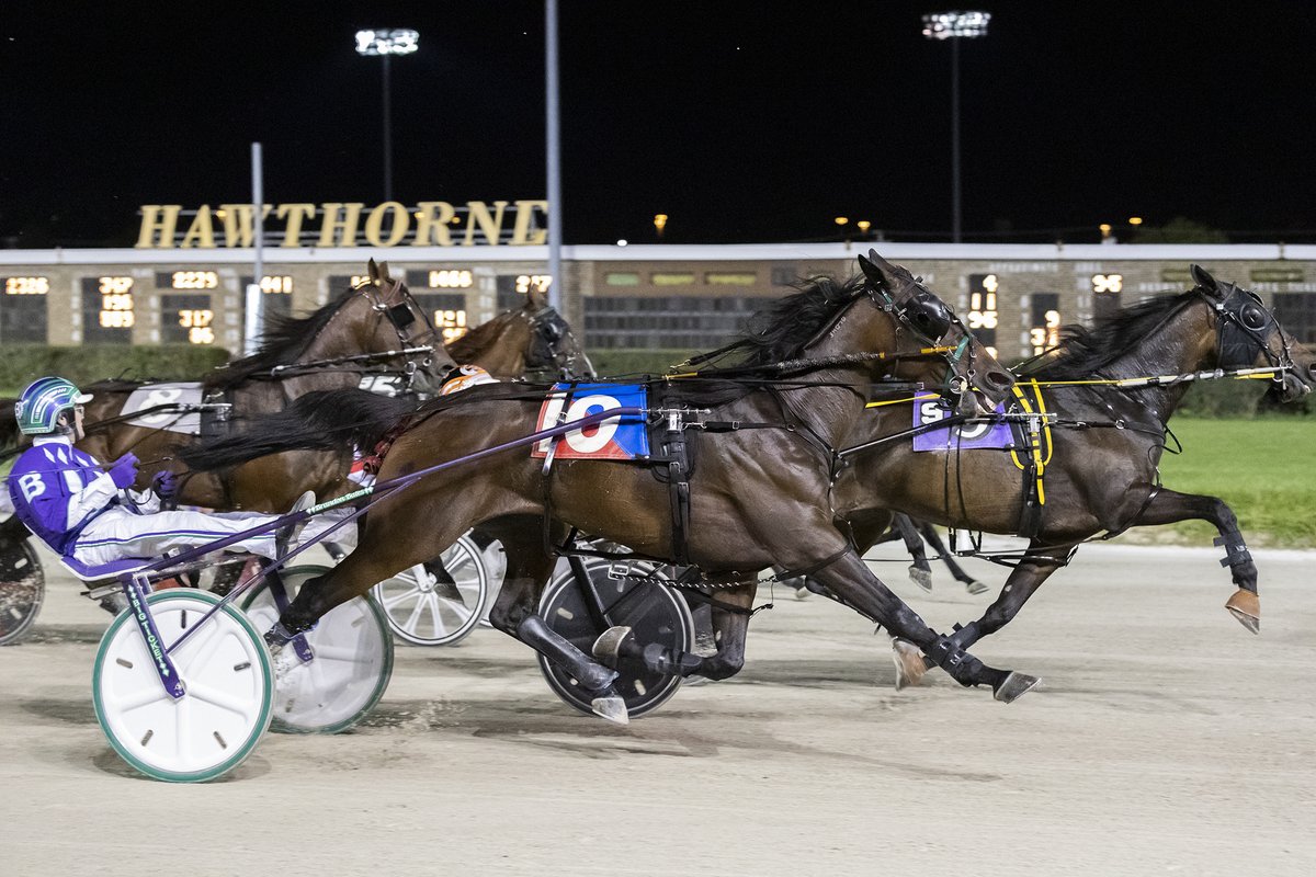 Daily Racing Form on Twitter "RT DRFHarness Today's track of the day