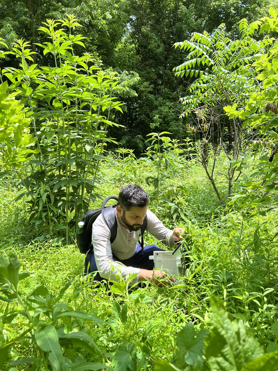 ABishwodeep's tweet photo. Using @meter_env soil moisture and conductivity sensors in couple green infrastructures at Brandon Park in Lancaster, PA. #METERdatastory https://t.co/CHyjgJcIHZ