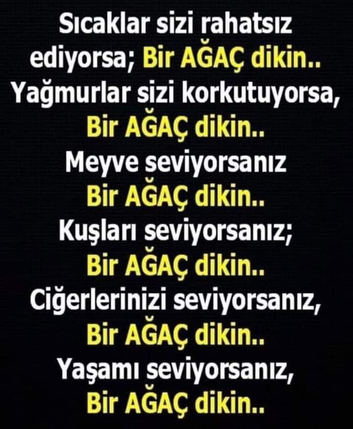 m_a_v_i_a_y_'s tweet photo. #pazar #agac #dikin https://t.co/0rpewSYXns