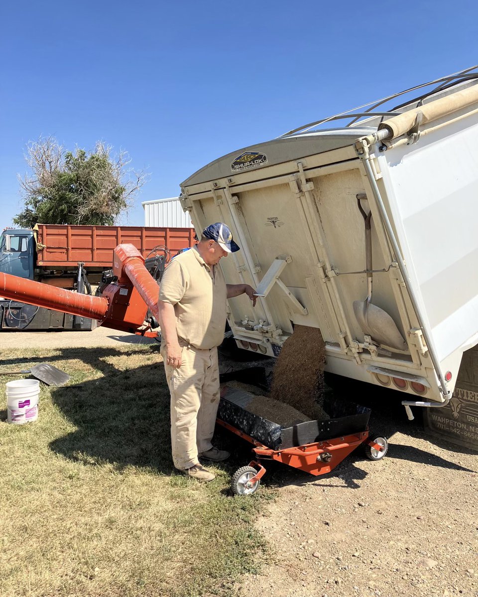 Just wrapped up our winter wheat harvest.  So very grateful for each kernel.  Now we’ll wait for the spring wheat to ripen and dry out.  Wishing all farmers a safe and bountiful year.  - Sharla