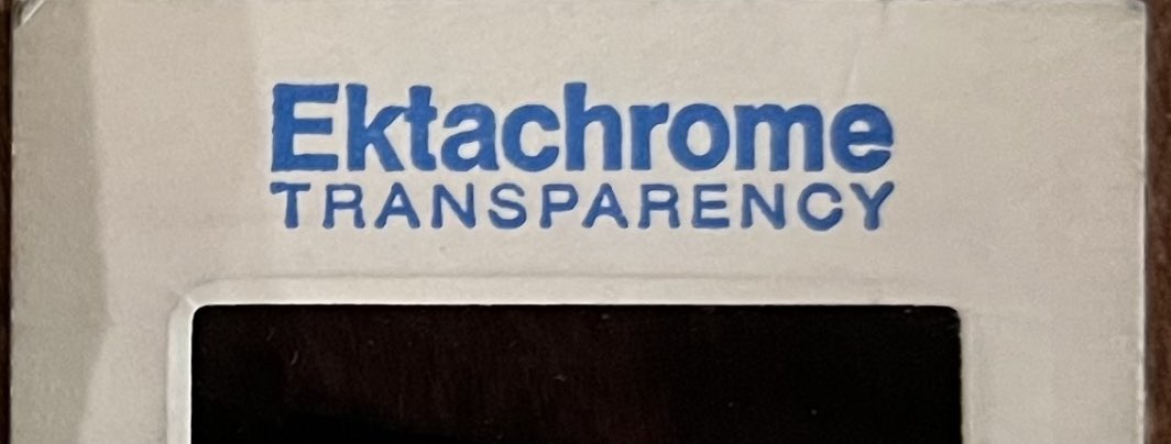 SadBirdDesign's tweet image. Ektachrome