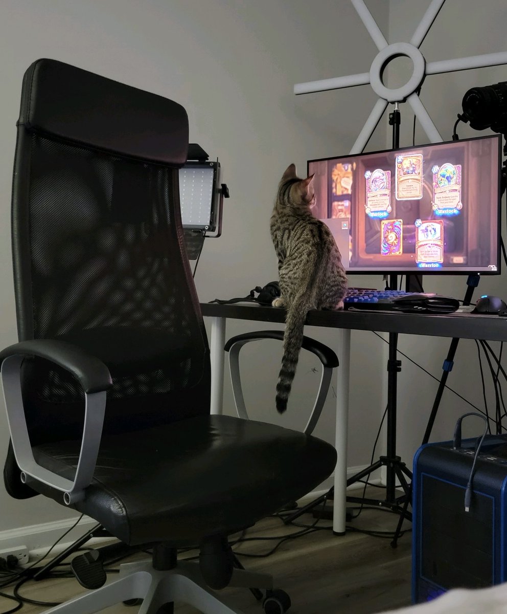 Best new feature, just teach your cat to hold down spacebar and not only will your packs get opened for you, but your cat will have endless entertainment
