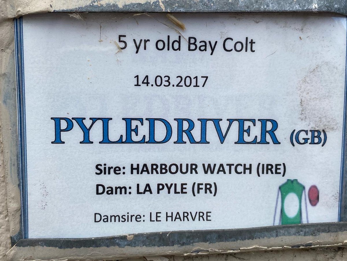 Clarehazell's tweet photo. Very lucky to have a cuddle with Pyledriver this evening and even luckier not to get bitten. https://t.co/q06iLAFG3A