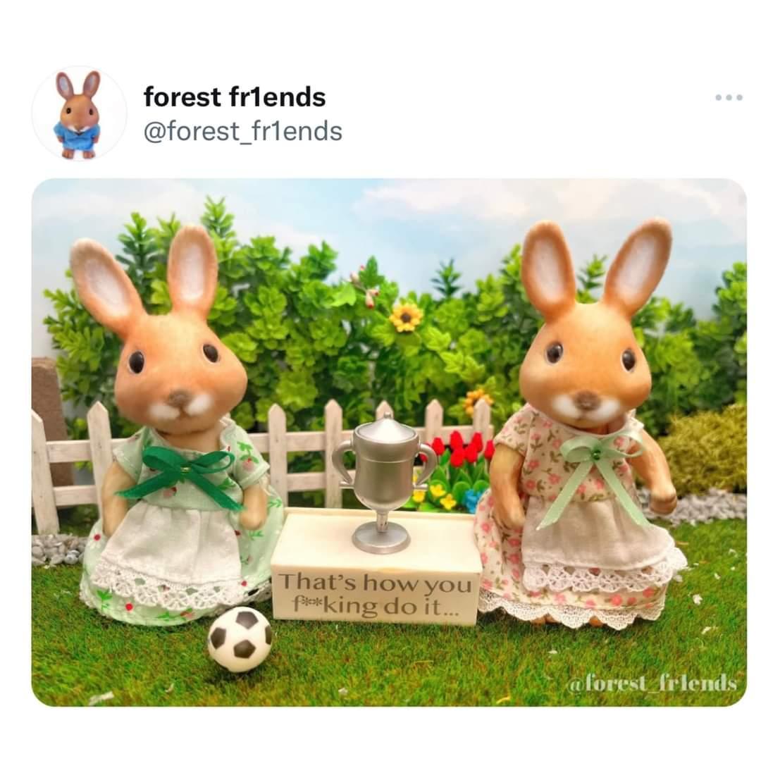 England finally......it's coming home. That how you do it boys! 🏴󠁧󠁢󠁥󠁮󠁧󠁿⚽️🏆 #Lionesses #ENGGER #WEuro2022Final #Eurofinal #womenseuro2022 #englandwomen #England