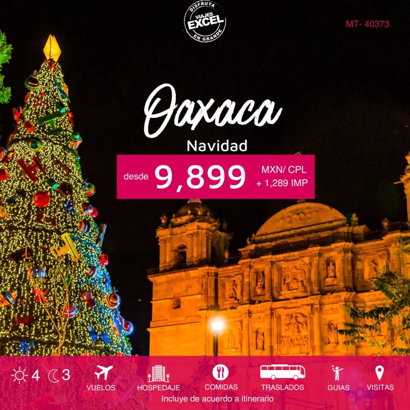 ExcelToursXal's tweet photo. Disfruta una navidad inolvidable, viaja a #Oaxaca 4 días y 3 noches.
+INFO: https://t.co/uqygjcCnFw
#Viajes #Xalapa #Veracruz #Coatepec #SafeTravels #ExcelTours https://t.co/Qvqu4NshZ0