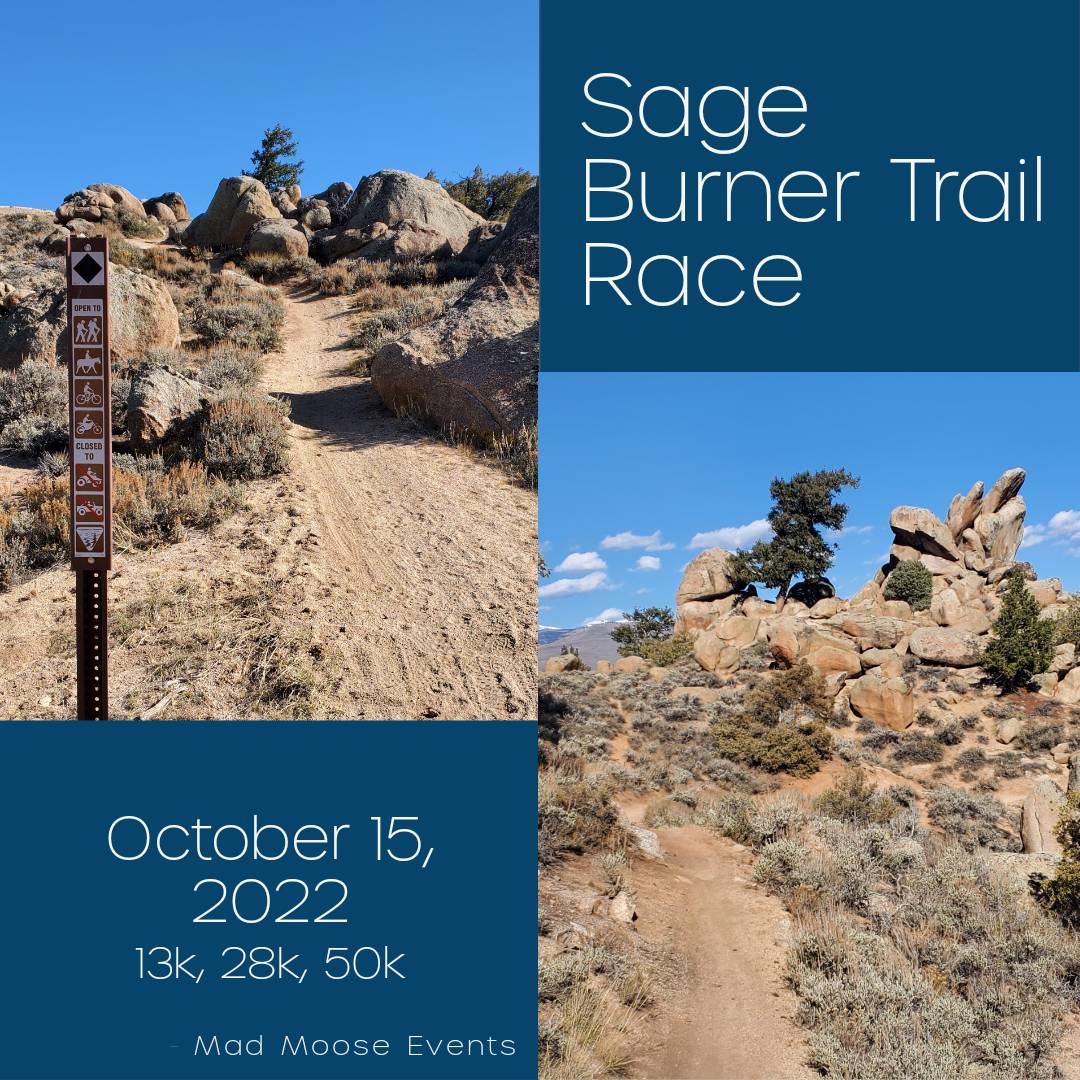 Mad Moose Events tweet media