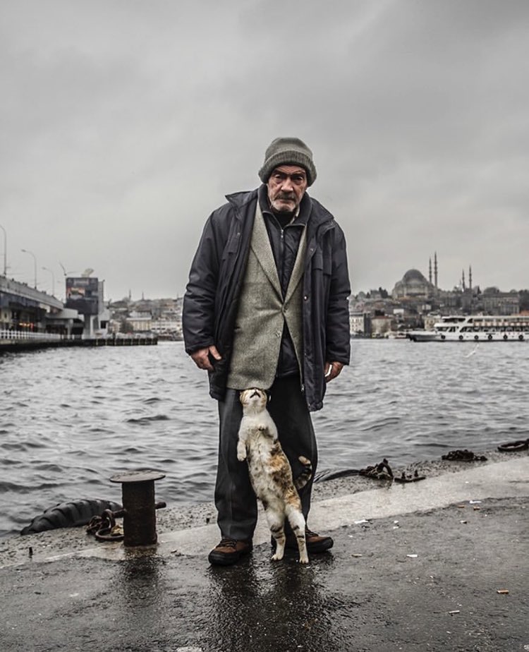 <a href="/CaptainMorie/">Captain💀🌎</a> Uncle Ali unfortunately passed away.  He used to sell hats in the historical center of Istanbul and stay in his single house.  He led a difficult life, his body could not stand it.  it's a special moment for me, this photo is one of my favorite works in my cat book