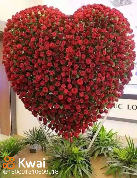 يامن يردلي بالخبر عنه 
مضيعن زوله مر سبعة ايام
 كل يوم وهاتفي منه يرنه 
والي مضاء كنهن سبعة عوام 
عليه دموع عيني يذرفنه 
والجسم بقاء بس جلد وعظام 
ضي ضي