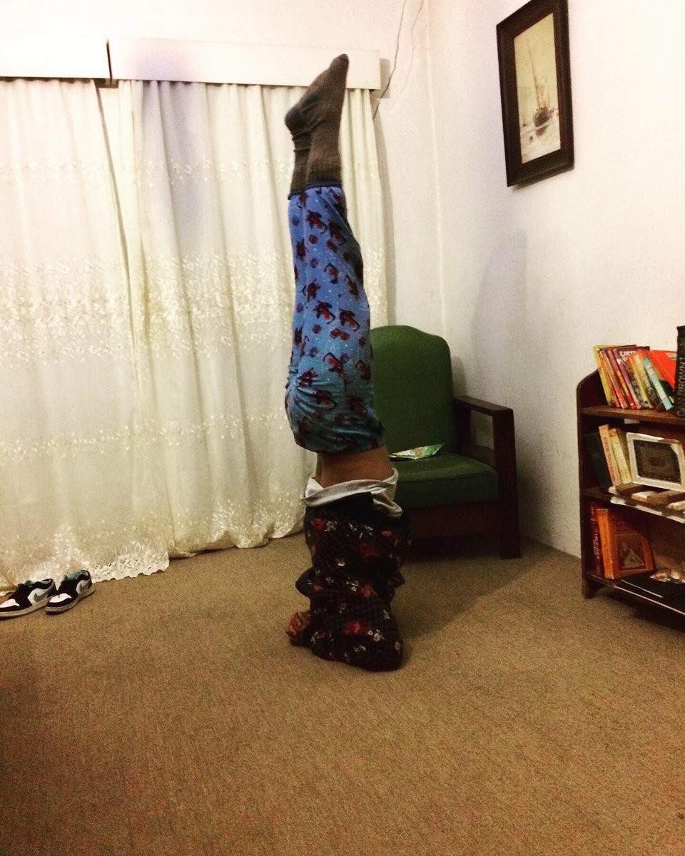 LadyofPunt's tweet photo. Headstand practice with my housemate. #ninjamom #yoga #headstand https://t.co/NIQEAweIWS