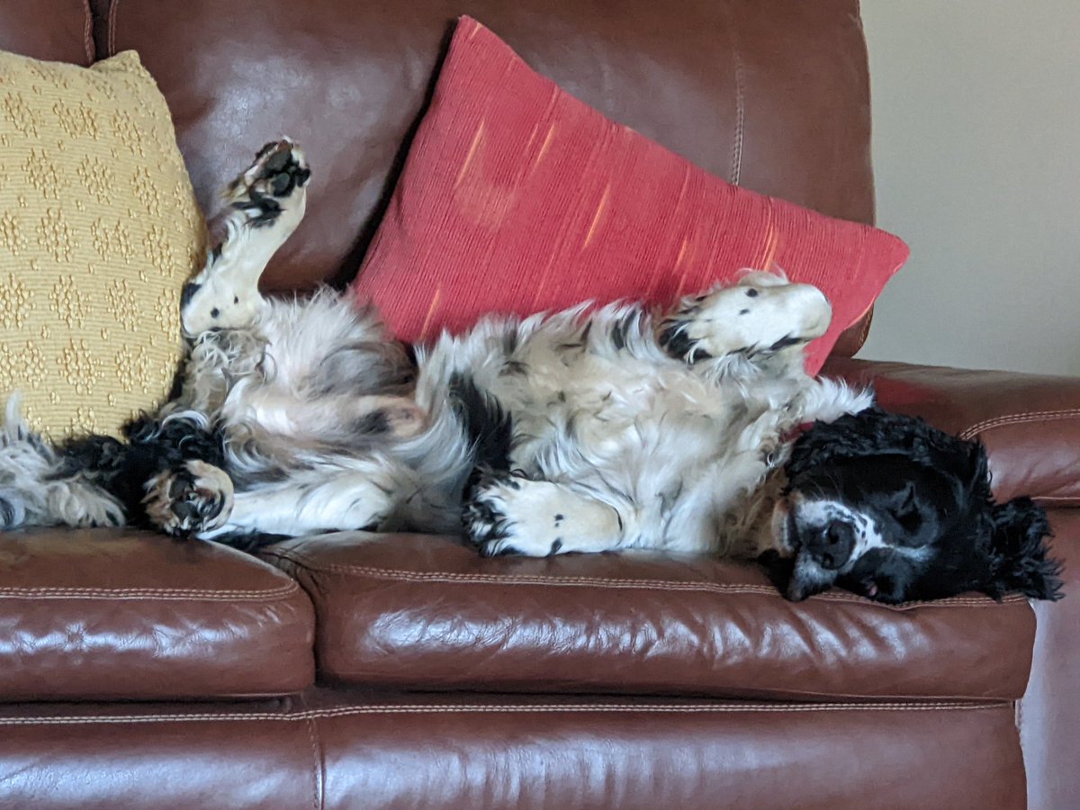 Jane Hallows tweet media