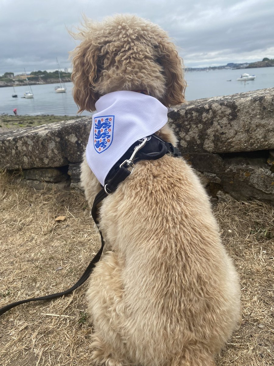 The pup never doubted that #thelionesses would do it #ENG