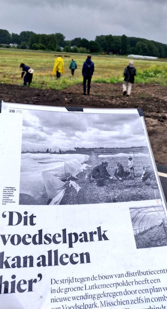 Ik neem jullie vanavond even mee. Een wandeling door de Lutkemeerpolder. 
Een mooi weids uitzicht, vruchtbare kleigrond, prachtig groengebied met historische waarde: de Lutkemeerpolder is een bijzonder gebied. Hier wil je toch geen distributiedozen bouwen? 
/1