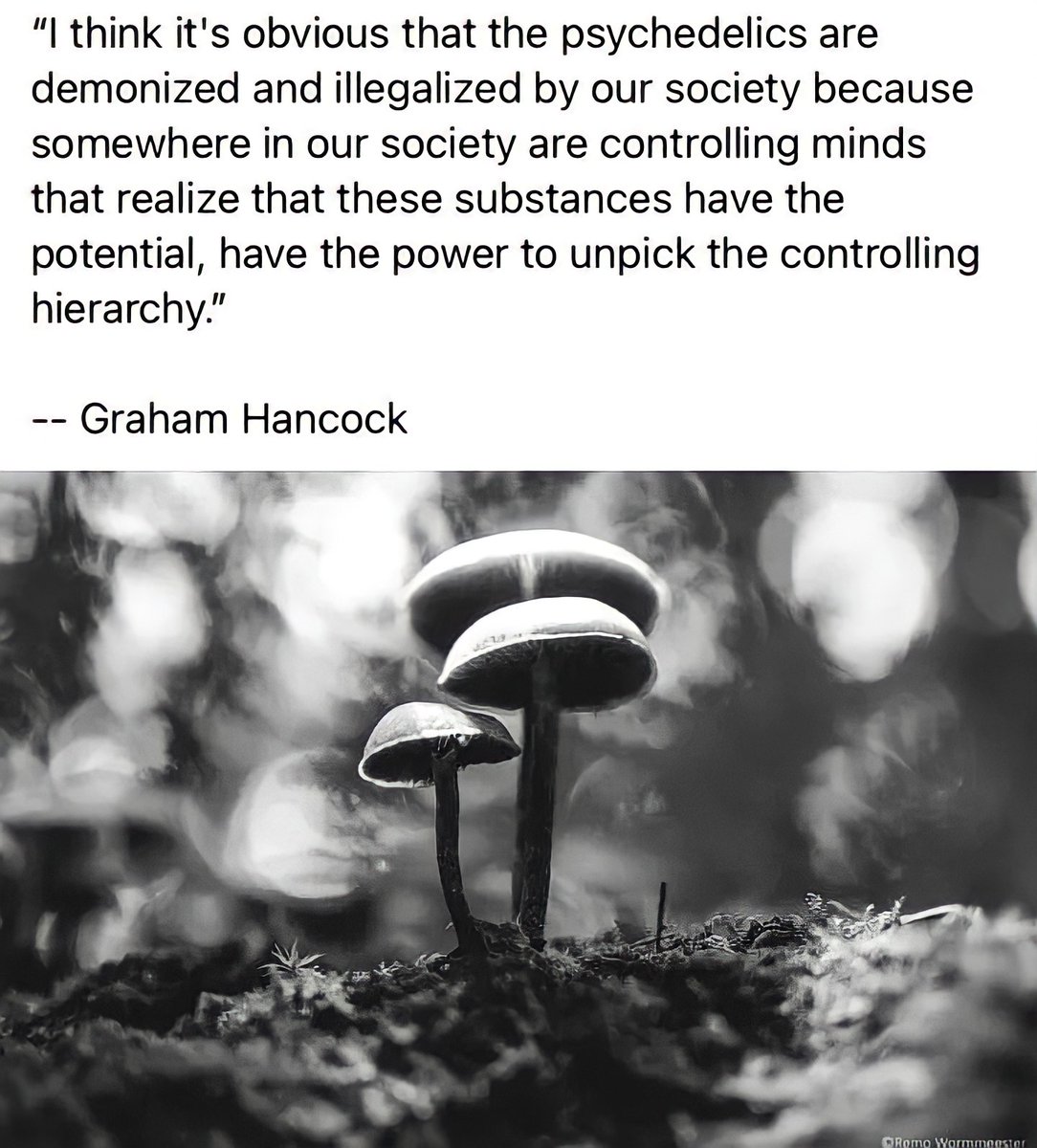 MySillyOhm's tweet photo. We are honored and excited to be alive during this pivotal time in human consciousness. The largest collective shift is underway. ✨🌊 🌀🌱☯️

What are your feelings of where we are today, where we're going or where we've been?

We'd love to hear! 👂✨

#psychedelicrevolution https://t.co/C3NxEzZlSK