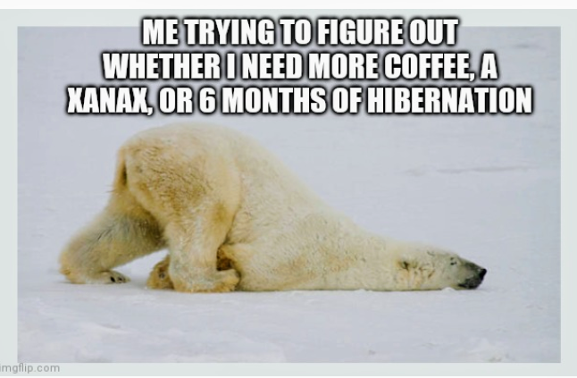 Mary Elizabeth Murphy tweet media