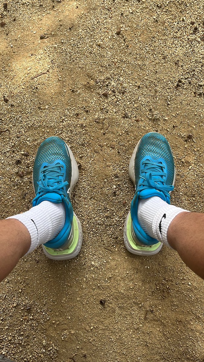 timramirez's tweet image. 8 miles doesn’t feel like it used to.