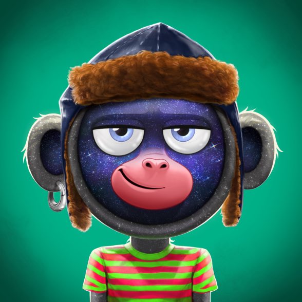 BBFloat's tweet photo. !RISE - @OnChainMonkey will survive the nft winter #HODL #buythefear #HugeDiscounts https://t.co/44GtVS2sYp